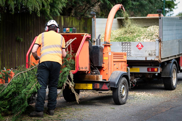 Tree Branch Trimming in Milford, MI